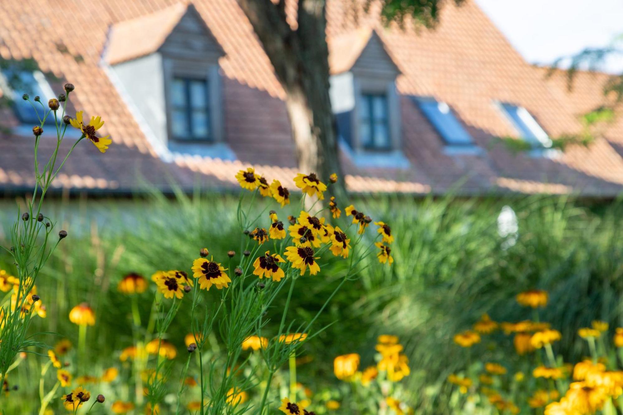 Le Cap Hornu Hotel Saint-Valéry-sur-Somme Ngoại thất bức ảnh